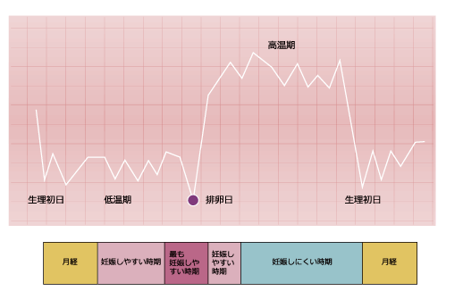 妊娠 にくい 前 生理 し 妊娠しやすいのは、生理前？生理後？ 妊娠しやすいタイミングを解説！(2019年12月13日)｜ウーマンエキサイト(2/3)