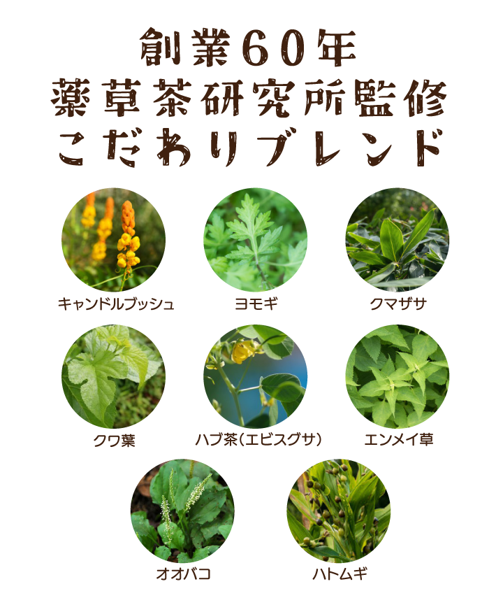 腸スッキリよもぎブレンド茶