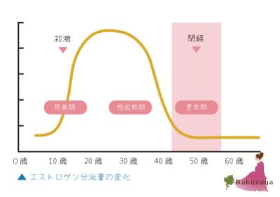 女性ホルモンと冷えの関係